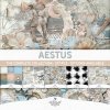 AWhimAdv-Aestus-Col-pv1.jpg