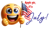 happy-emoji-is-holding-american-flag_1143583-2732-1538512617.png