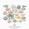 AWhimAdv-CuriositiesNo1-Fish-pv1.jpg