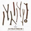AWhimAdv-CU-FieldFindsNo1-Twigs.jpg