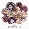 AWhimAdv-CU-FlowersNo11-pv1.jpg
