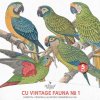 AWhimAdv-CU-VintageFaunaNo1-PA.jpg