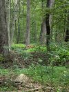 PXL_20250707_161935933_resize.jpg