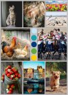 AugustMoodBoardOscraps.jpg AugustMoodBoardOscraps.jpg