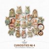 AWhimAdv-CuriositiesNo4-OwlsOddments-pv1.jpg