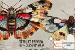 jhd-alteredmoths1-details1.jpg