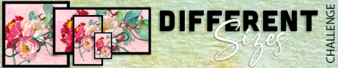 1759116723580.png 1759116723580.png