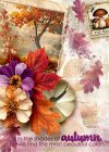 palvinka_shadesofautumn_oct_chall6_robin_web_sm.jpg palvinka_shadesofautumn_oct_chall6_robin_web_sm.jpg