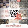 AWhimAdv-DSD25GrabBag$1Day3-pv1.jpg