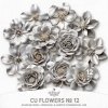 AWhimAdv-CU-FlowersNo12-pv1.jpg AWhimAdv-CU-FlowersNo12-pv1.jpg