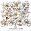 AWhimAdv-CU-FlowersNo15-FWB-pv1.jpg AWhimAdv-CU-FlowersNo15-FWB-pv1.jpg