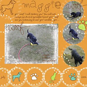 ADSR#6 Maggie, Connie (Bensenc)'s Dog