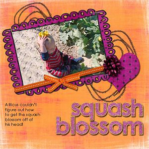 Squash Blossom