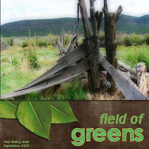 Field of Greens