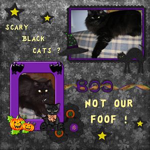 Scary Black Cats