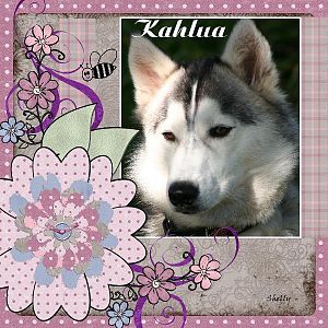 Kahlua