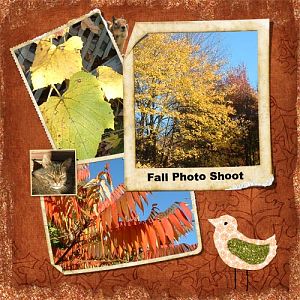 Fall Photo Shoot