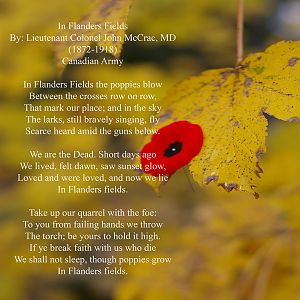 In Flanders Fields