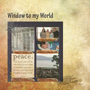 Window to my World