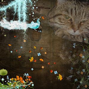 Brown Cat