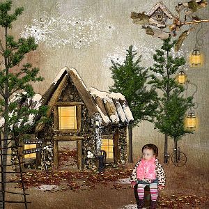 Wood Shed