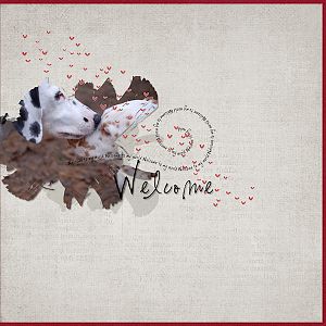 welcome to my world