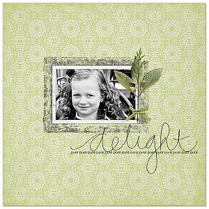 Delight-copy