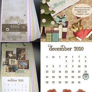Chiqutta Calendar 2010