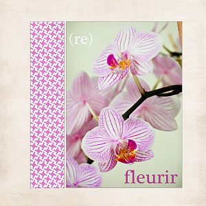 (re)fleurir