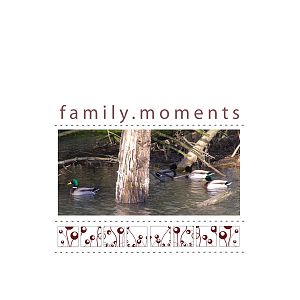 family moments