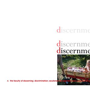 Discernment