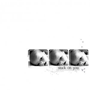 Stuck on you.