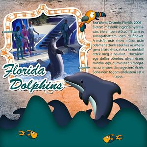 Florida Dolphins