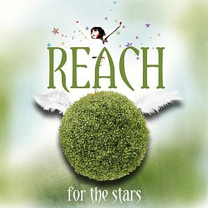 Reach for the Stars