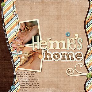 Hermie's Home