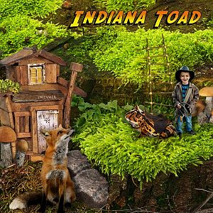 Indiana Toad