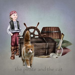 The pirates and the cat!