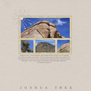 Joshua Tree