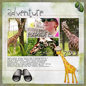 Zoo Adventure