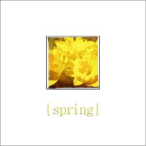 Spring_Daffodils