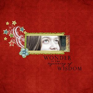 Wonder is ...
