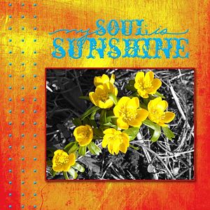 Soul Sunshine