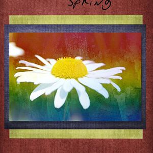 Happy Bithday Happy Spring
