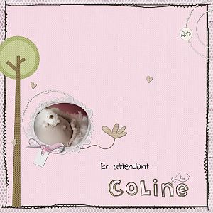 coline's dream de loloden