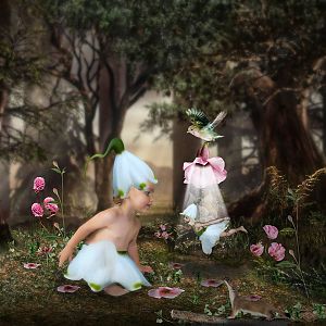 Fairy woods