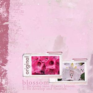 Blossom