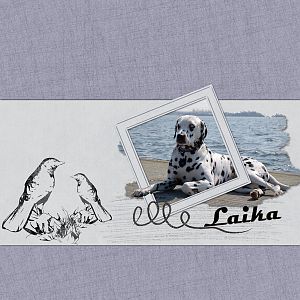Laika