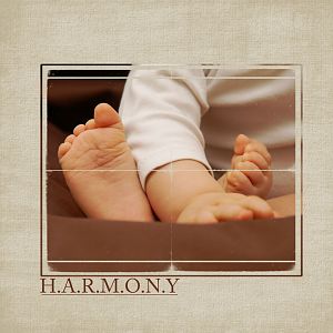 Harmony_2