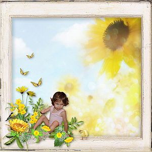 Sunny Day