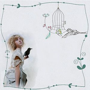 Open the Birdcage